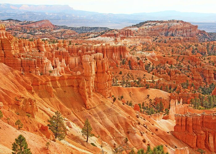 Bryce Canyon Red Rock Hoodoos Trees Mountains Greeting Card featuring the photograph Bryce Canyon red rock hoodoos trees mountains 6545 by David Frederick