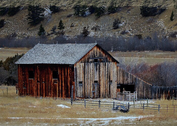 Montana Ranch Building Greeting Card featuring the photograph Building On Hold by Kae Cheatham