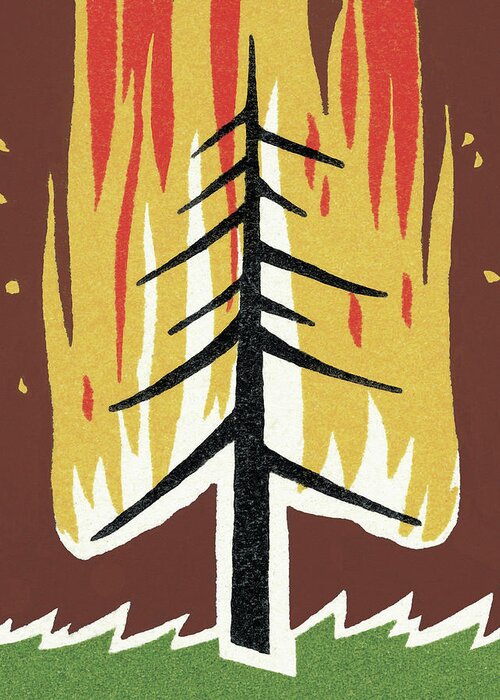 Accident Greeting Card featuring the drawing Burning Tree by CSA Images