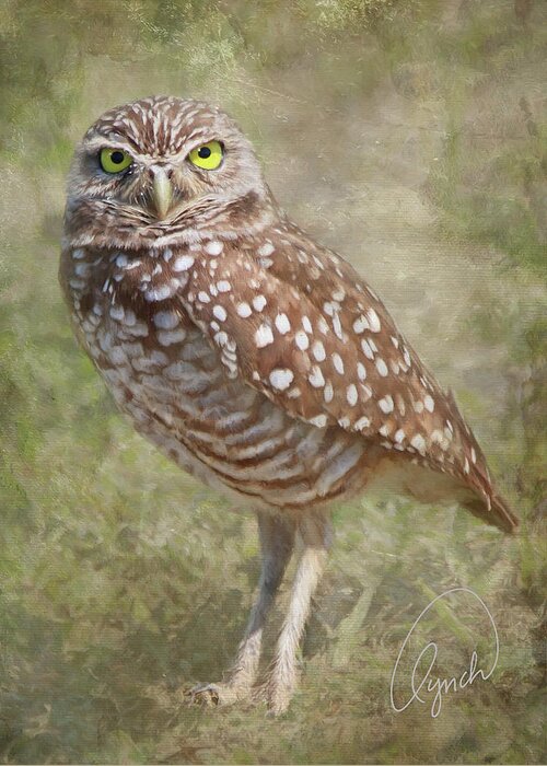 Bird Greeting Card featuring the photograph Burrowing Owl by Karen Lynch