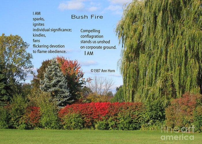 Poem Greeting Card featuring the photograph Bush Fire by Ann Horn