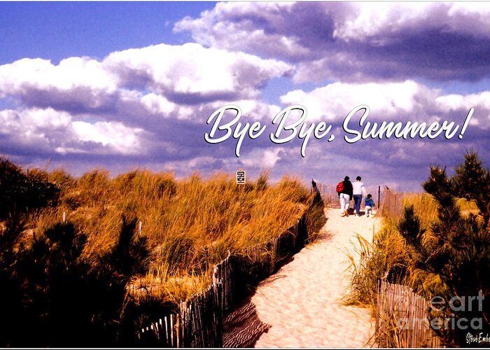  Greeting Card featuring the photograph Bye Bye, Summer by Steve Ember