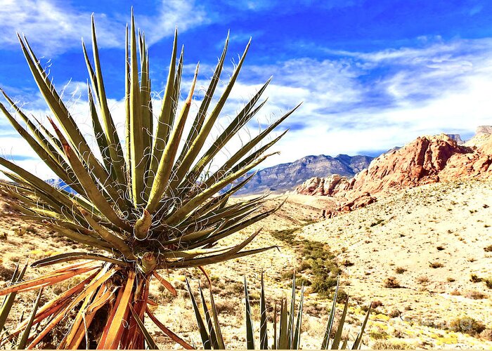 Cactus Fronting The Red Rock Canyon Landscape In Nevada.  Greeting Card featuring the photograph Cactus Fronting by Beth Myer Photography
