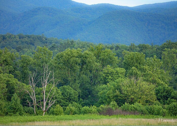 Art Prints Greeting Card featuring the photograph Cades Cove 4 by Nunweiler Photography