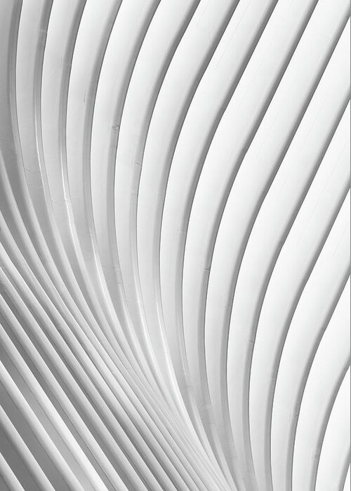 Calatrava Lines Photograph by Christopher Budny
