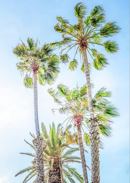 Palm Tree Greeting Card featuring the photograph California Dreaming Palm Trees by Gene Parks