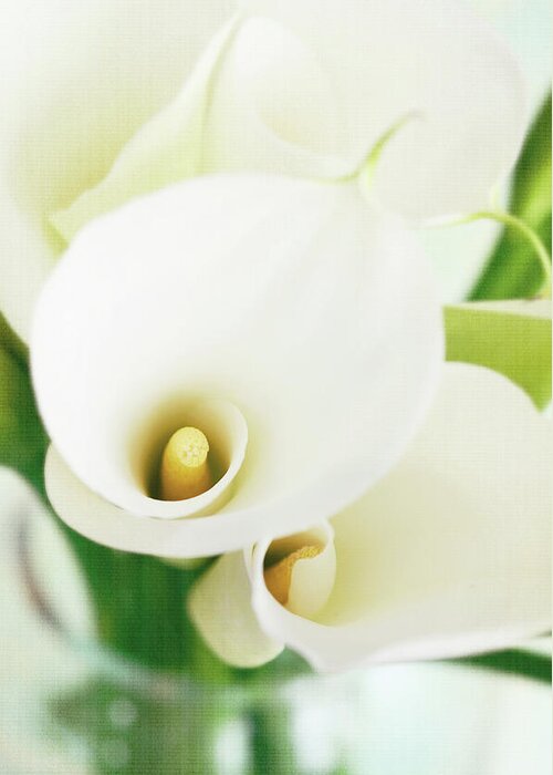 Calla Lily Greeting Card featuring the photograph Calla Lilies In Vase With Texture by Dhmig Photography