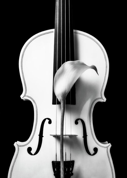 Violin Greeting Card featuring the photograph Calla Lily And White Violin In Black And White by Garry Gay