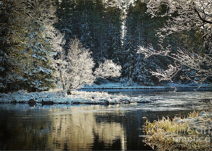 Concrete Greeting Card featuring the photograph Calm Lake Environment In Winter by Conny Sjostrom