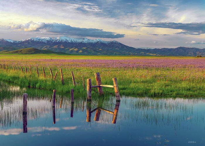 Idaho Scenics Greeting Card featuring the photograph Camas Landscape by Leland D Howard