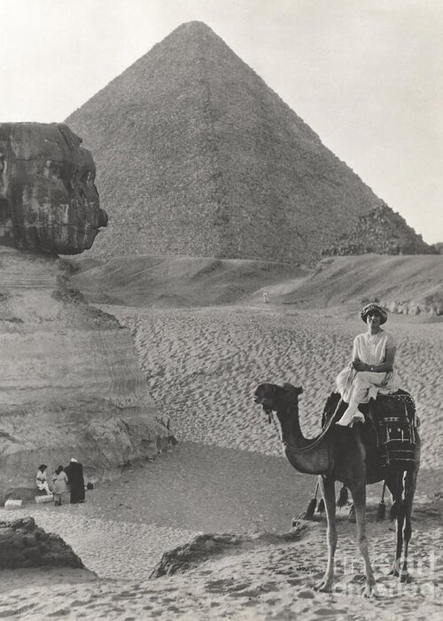 1920s Greeting Card featuring the photograph Camel Ride At The Sphinx And Pyramids by Everett Collection