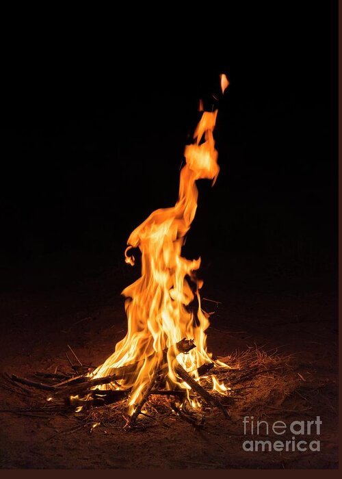 Burn Greeting Card featuring the photograph Campfire by David Parker/science Photo Library