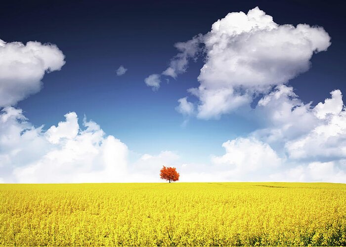 Autumn Greeting Card featuring the photograph Canola Meadow by Bess Hamiti