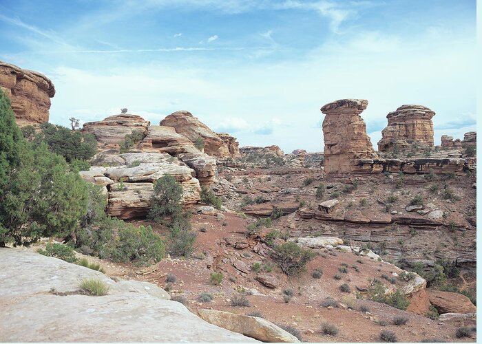 Southwest Desert Canyon Greeting Card featuring the photograph Canyonland 05 by Gordon Semmens