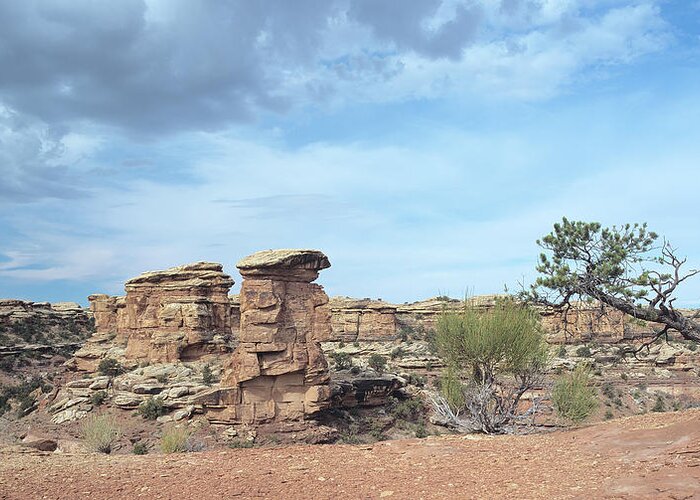 Southwest Desert Canyon Greeting Card featuring the photograph Canyonland 12 by Gordon Semmens