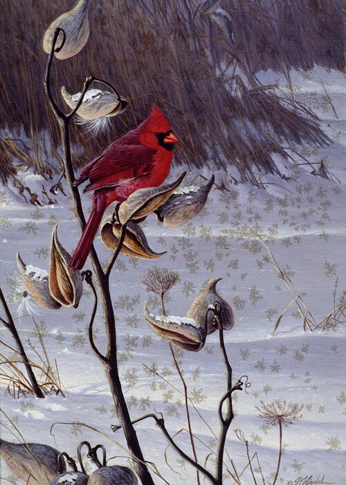 Cardinal On A Milkweed Plant Greeting Card featuring the painting Cardinal & Milkweed by Wilhelm Goebel