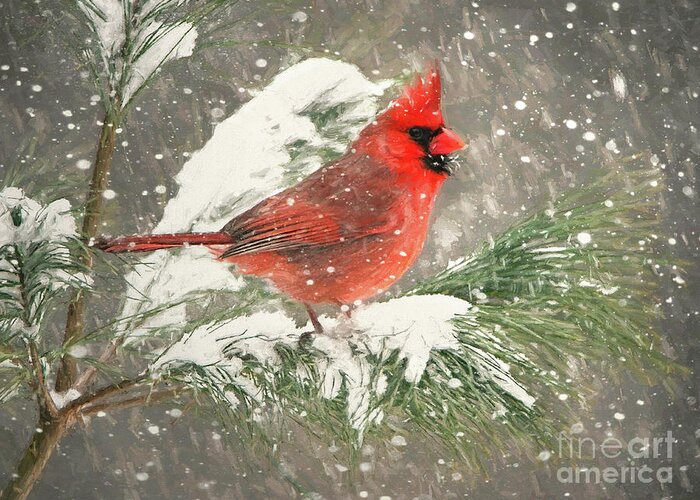 Cardinal Greeting Card featuring the painting Cardinal In The Snow by Tina LeCour