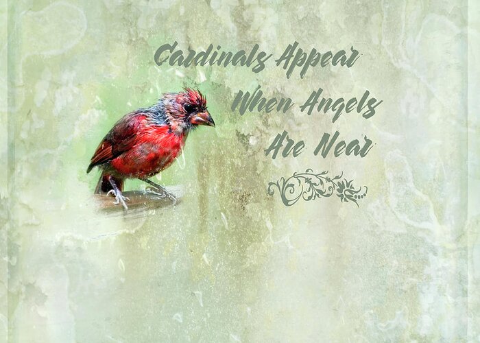 Cardinal Greeting Card featuring the photograph Cardinals Appear When Angels Are Near by Laura Vilandre