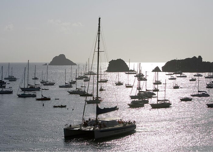 Sailboat Greeting Card featuring the photograph Catamaran And Yachts At Anchor, Near by Holger Leue