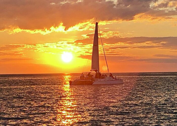 Beach Greeting Card featuring the photograph Catamaran Sailing Past Sunset in Captiva Island Florida 2019 by Shelly Tschupp