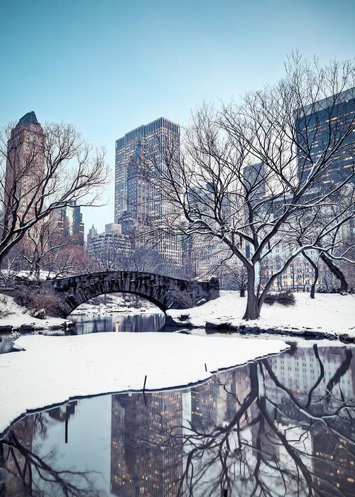 Scenics Greeting Card featuring the photograph Central Park In Winter by Pawel.gaul