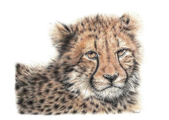 Cheetah Cub Greeting Card featuring the drawing Cheetah Cub by Casey 'Remrov' Vormer