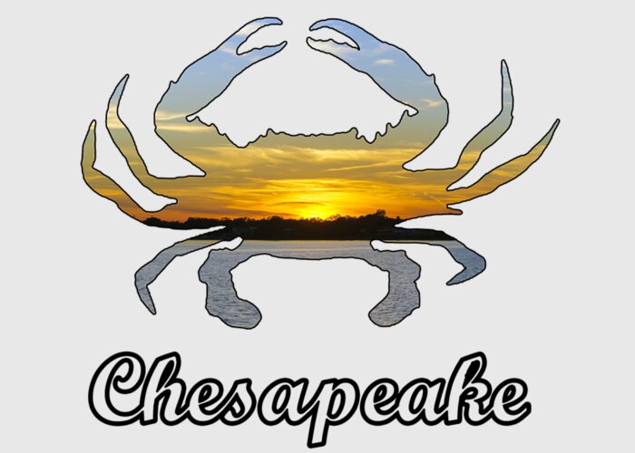 2d Greeting Card featuring the photograph Chesapeake Emblem by Brian Wallace