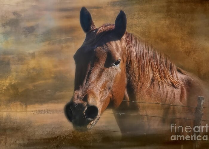 Horse Greeting Card featuring the photograph Chestnut by Joan Bertucci