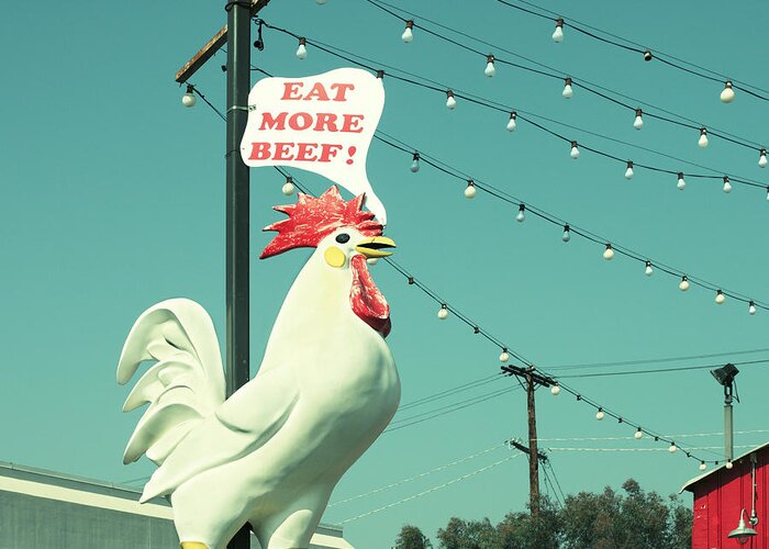 White Leghorn Greeting Card featuring the photograph Chicken Says Eat Beef by Farukulay