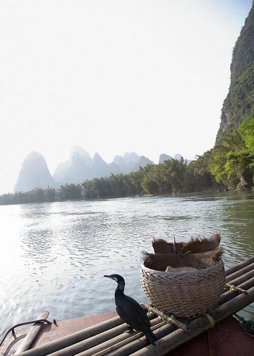 Tranquility Greeting Card featuring the photograph China, Guilin, Lijang River, Trained by Jerry Driendl