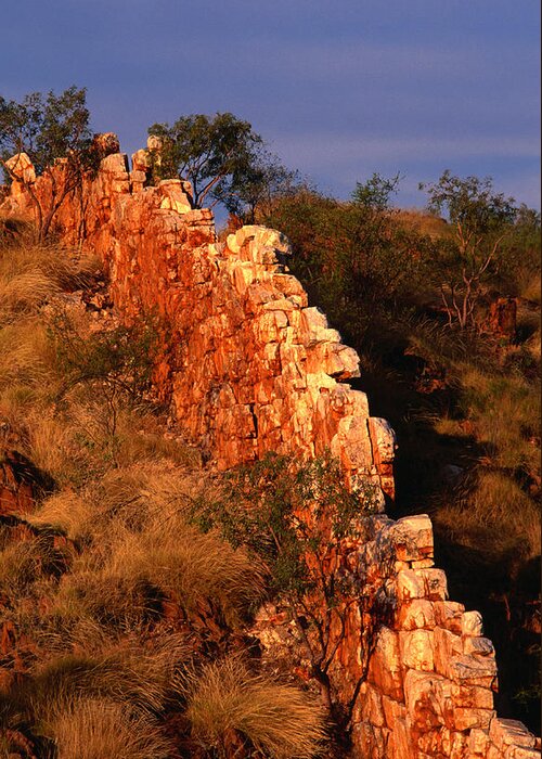 Grass Greeting Card featuring the photograph China Wall, Halls Creek, Kimberley by Oliver Strewe