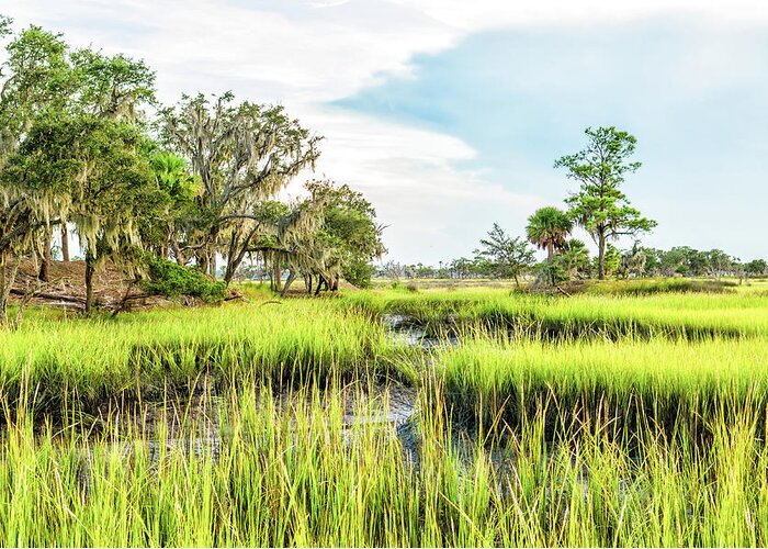 Marsh Greeting Card featuring the photograph Chisolm Island - Marsh at Low Tide by Scott Hansen