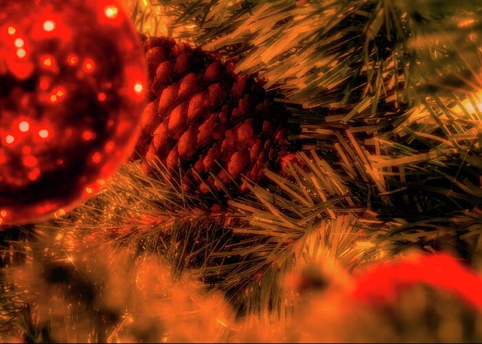 Holidays Greeting Card featuring the photograph Christmas Evergreen by Allin Sorenson