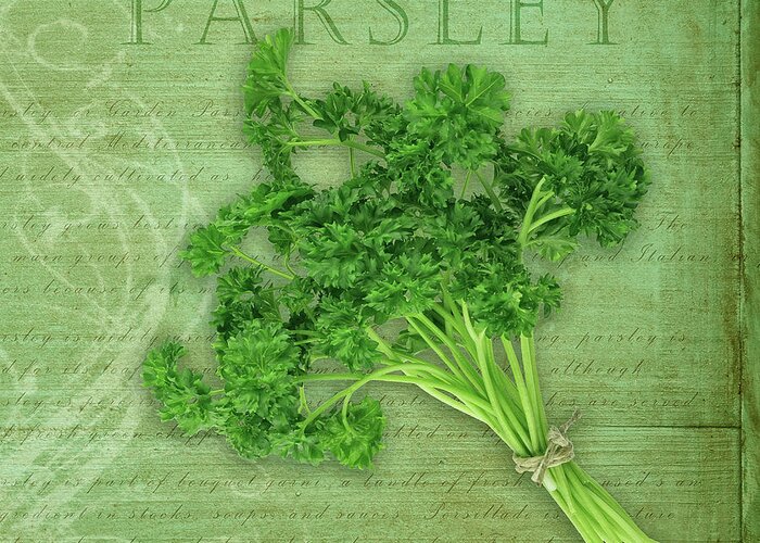 Classic Herbs Parsley Greeting Card featuring the photograph Classic Herbs Parsley by Cora Niele