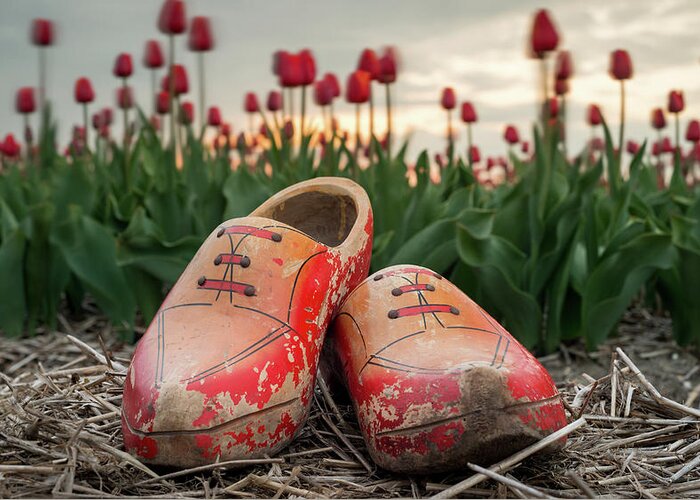Clogs Greeting Card featuring the photograph Clogs, tulips and sunset by Jenco van Zalk