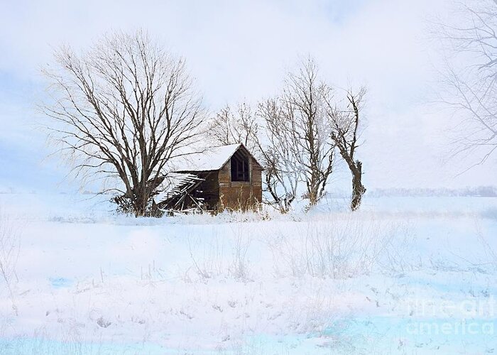Photography Greeting Card featuring the photograph Cold and Lonely by Larry Ricker