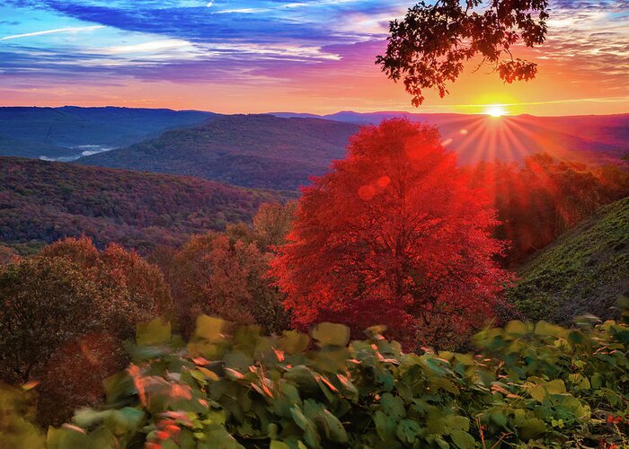 America Greeting Card featuring the photograph Colorful Autumn Sunrise at Artist Point - Arkansas Boston Mountains by Gregory Ballos