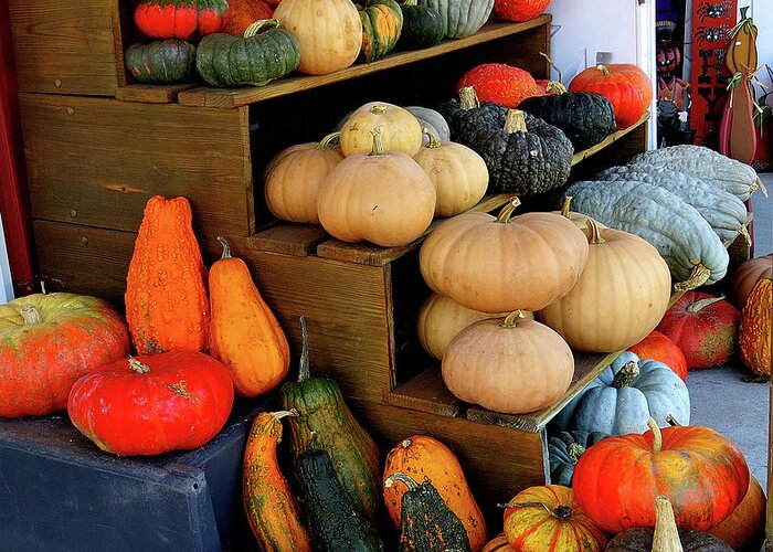 Farmer's Market Display Greeting Card featuring the photograph Colorful Gourds and Squash on Display by Linda Stern