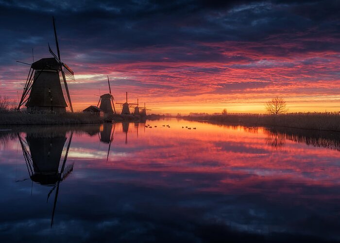 Reflection Greeting Card featuring the photograph Colour Reflection... by Miguel Pascual