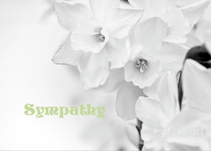 Sympathy Greeting Card featuring the photograph Condolences With Sympathy by Charline Xia