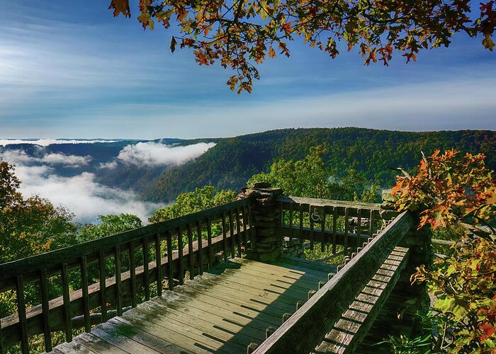 Wv Greeting Card featuring the photograph Cooper's Rock Overlook by Amanda Jones