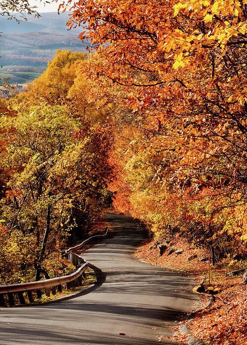 Scenics Greeting Card featuring the photograph Country Roads With Autumn Foliage by Melinda Moore