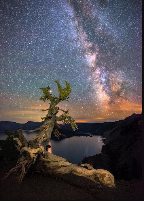 Crater Lake National Park Greeting Card featuring the photograph Crater Lake Twisty Tree by Darren White