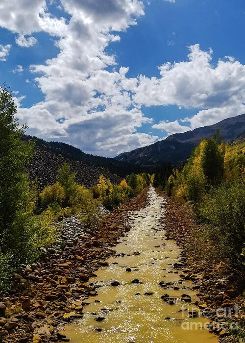 Colorado Greeting Card featuring the photograph Creek in Colorado by Elizabeth M