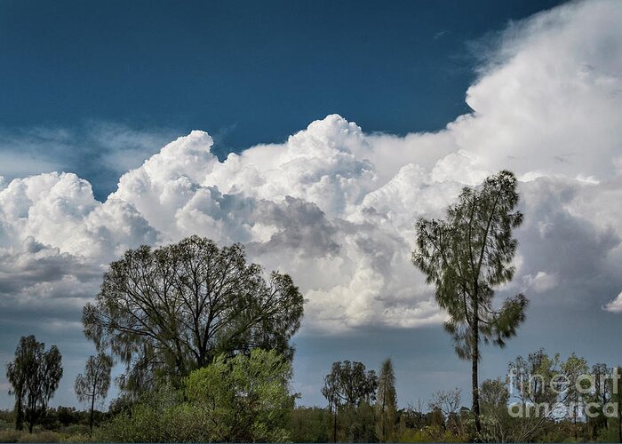 Cloud Greeting Card featuring the photograph Cumulus Congestus And Storm Clouds Behind Trees by Stephen Burt/science Photo Library