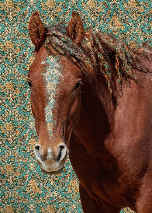 Wild Horses Greeting Card featuring the photograph Curly by Mary Hone