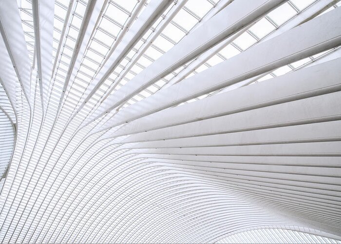 Calatrava Greeting Card featuring the photograph Curvature by Linda Wride