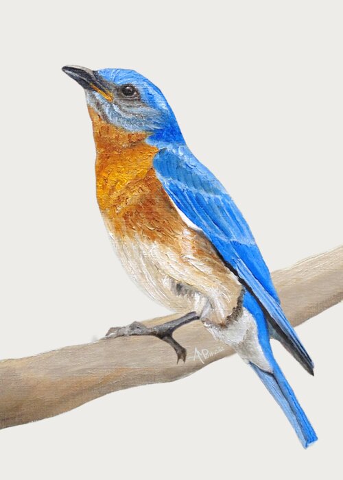 Bluebird Greeting Card featuring the painting Cute Eastern Bluebird by Angeles M Pomata
