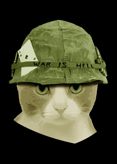 cute-war-is-hell-army-cat-filip-hellman-transparent.png