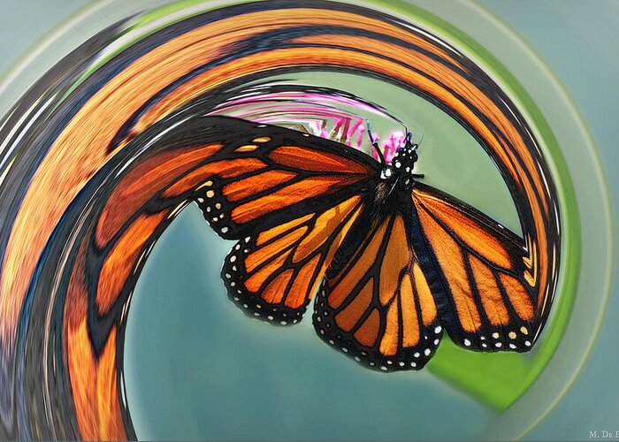 Butterfly Greeting Card featuring the photograph Cyclonic Monarch Butterfly by Marilyn DeBlock